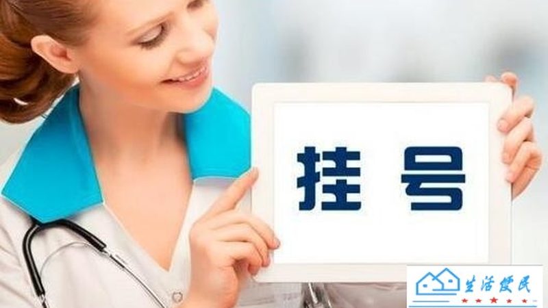 管道疏通剂：生物酶与化学剂的较量**